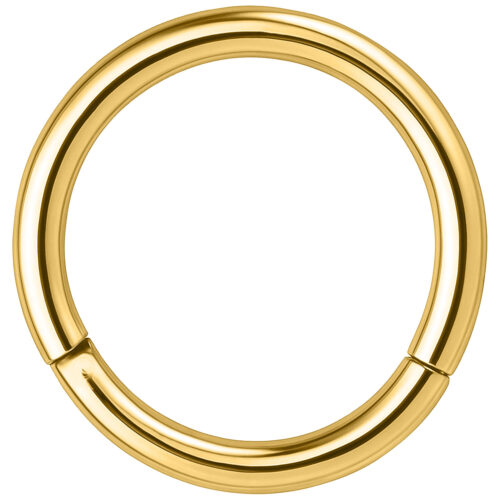 Hinged Segment Ring - kullanvärinen lävistysrengas (teräs)