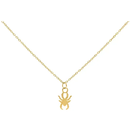 Little Spider Chain