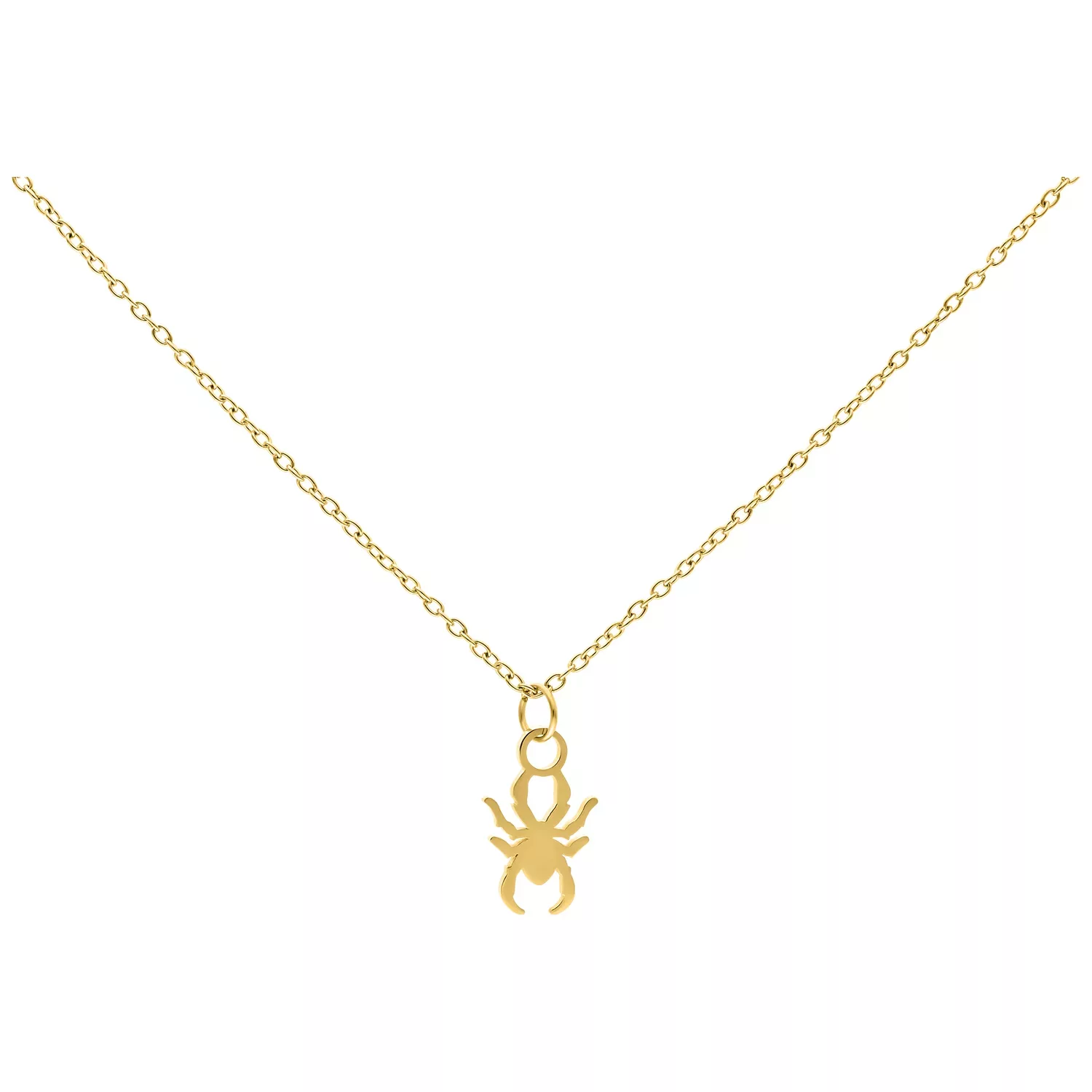 Little Spider Chain