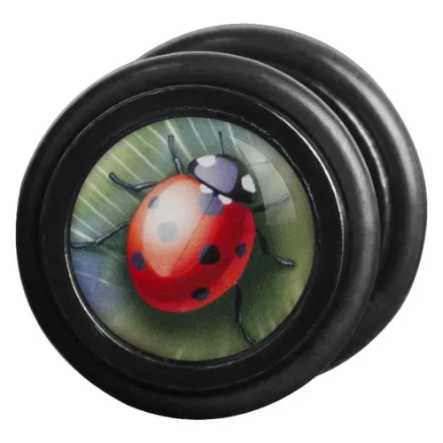 Ladybird