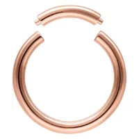 Rosegold Segment Ring