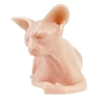 Tatuointiharjoitusnahka Sphynx-kissa Silikoni Beige silikoni Sphynx-kissa tatuointiharjoitusnahka valkoisella taustalla