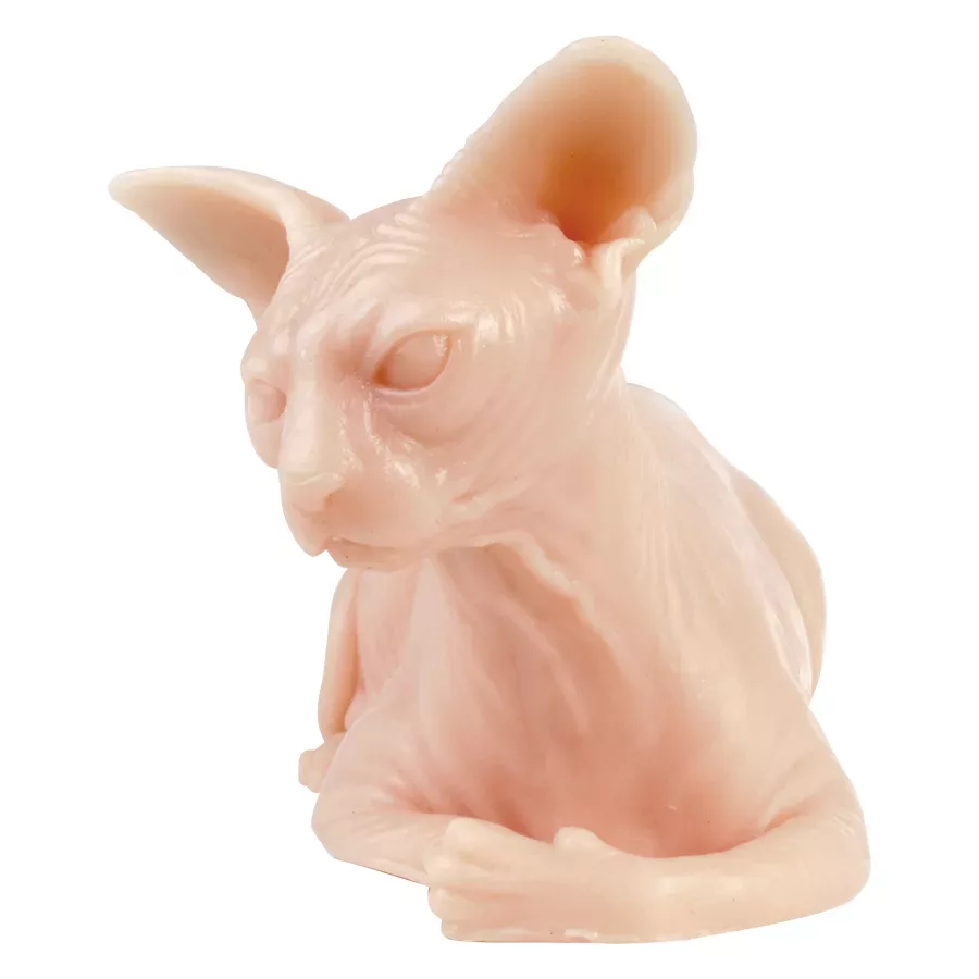 Tatuointiharjoitusnahka Sphynx-kissa Silikoni Beige silikoni Sphynx-kissa tatuointiharjoitusnahka valkoisella taustalla
