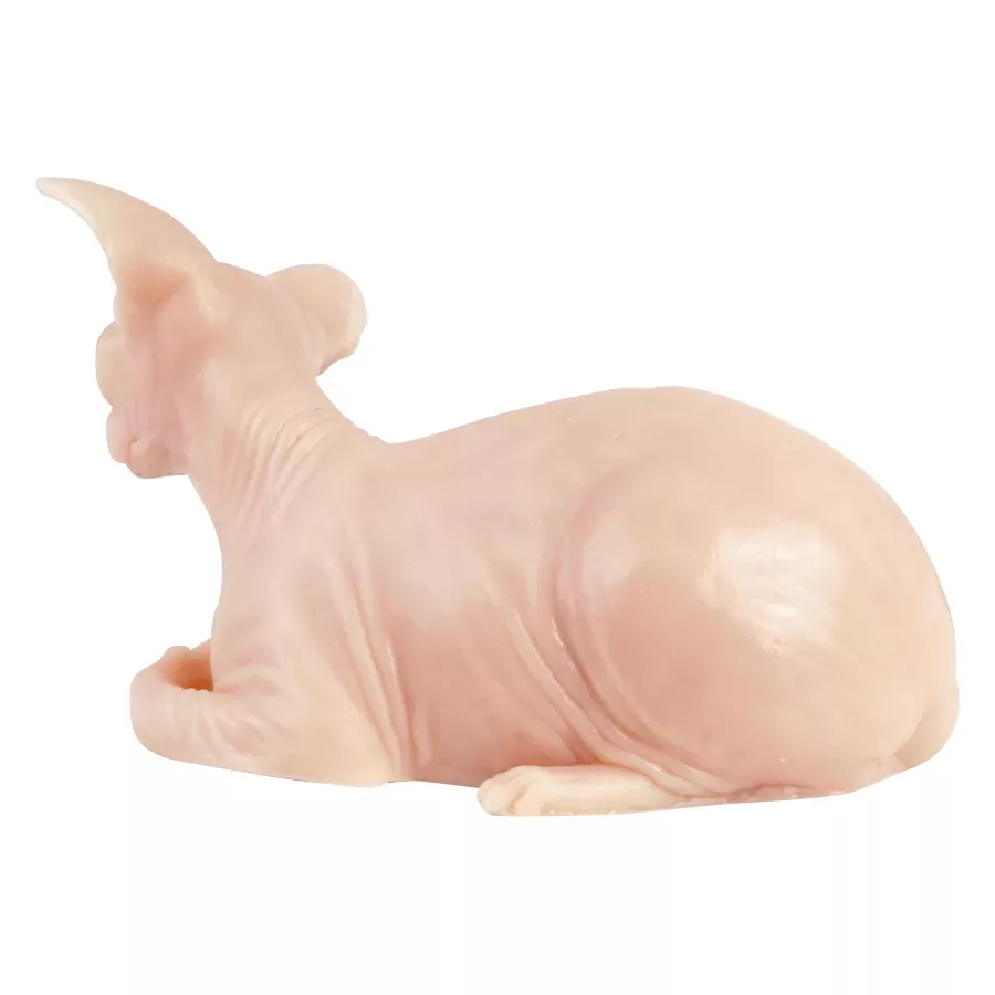 Tatuointiharjoitteluiho Sphynx-kissa silikonista Beige silikoninen Sphynx-kissa tatuointiharjoituksiin valkoisella taustalla