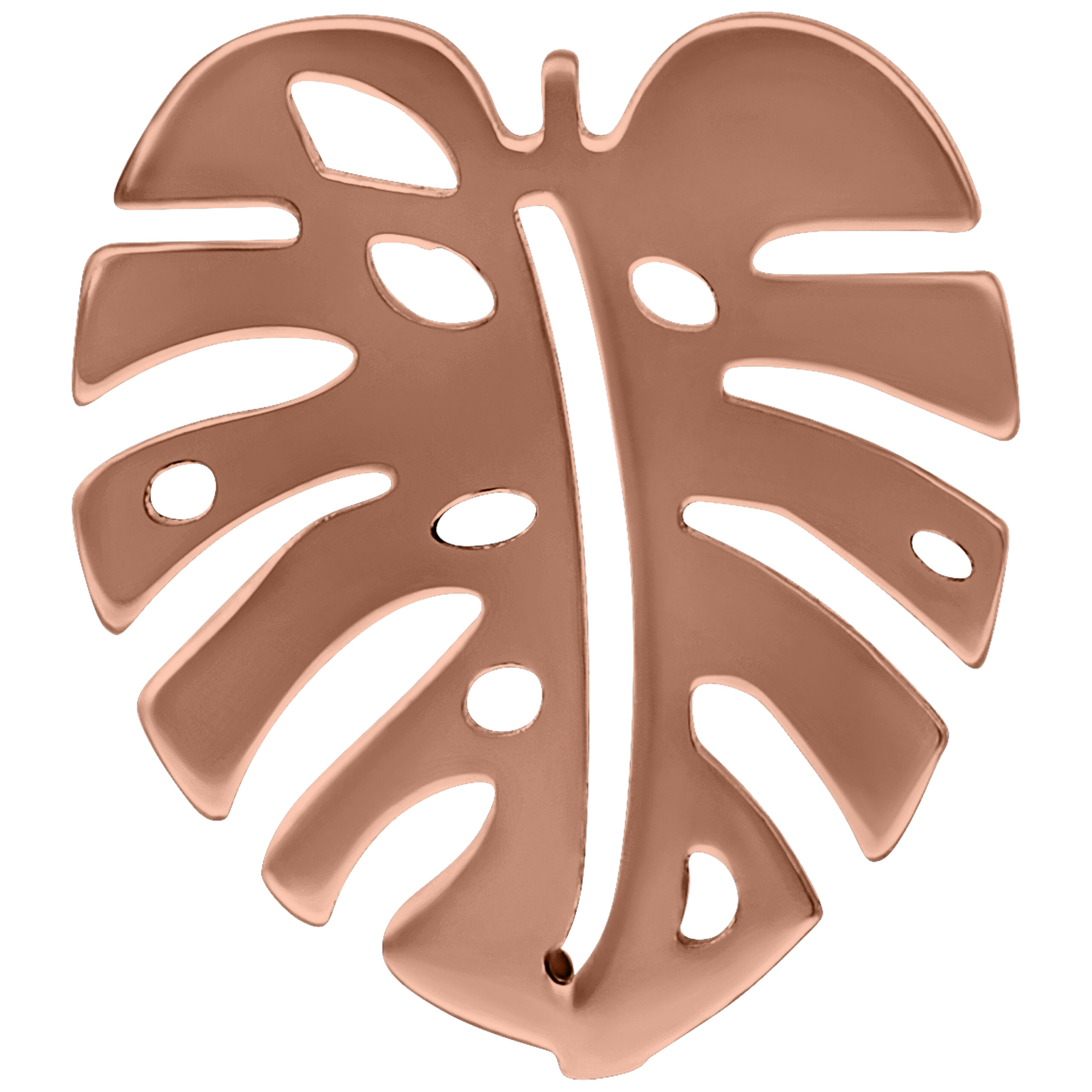 Ruusuhopeinen korvakoru Monstera-lehden muodossa valkoisella taustalla