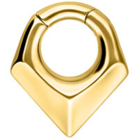 Goldene Triangle Ear Weights von Wildcat Goldenes dreieckiges Ohrgewicht aus Chirurgenstahl, Studiohintergrund