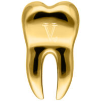 Goldenes Tiny Tooth Ohrgewicht von Verena Venus Goldenes Ohrgewicht in Zahnform mit Verena Venus Logo auf weißem Hintergrund