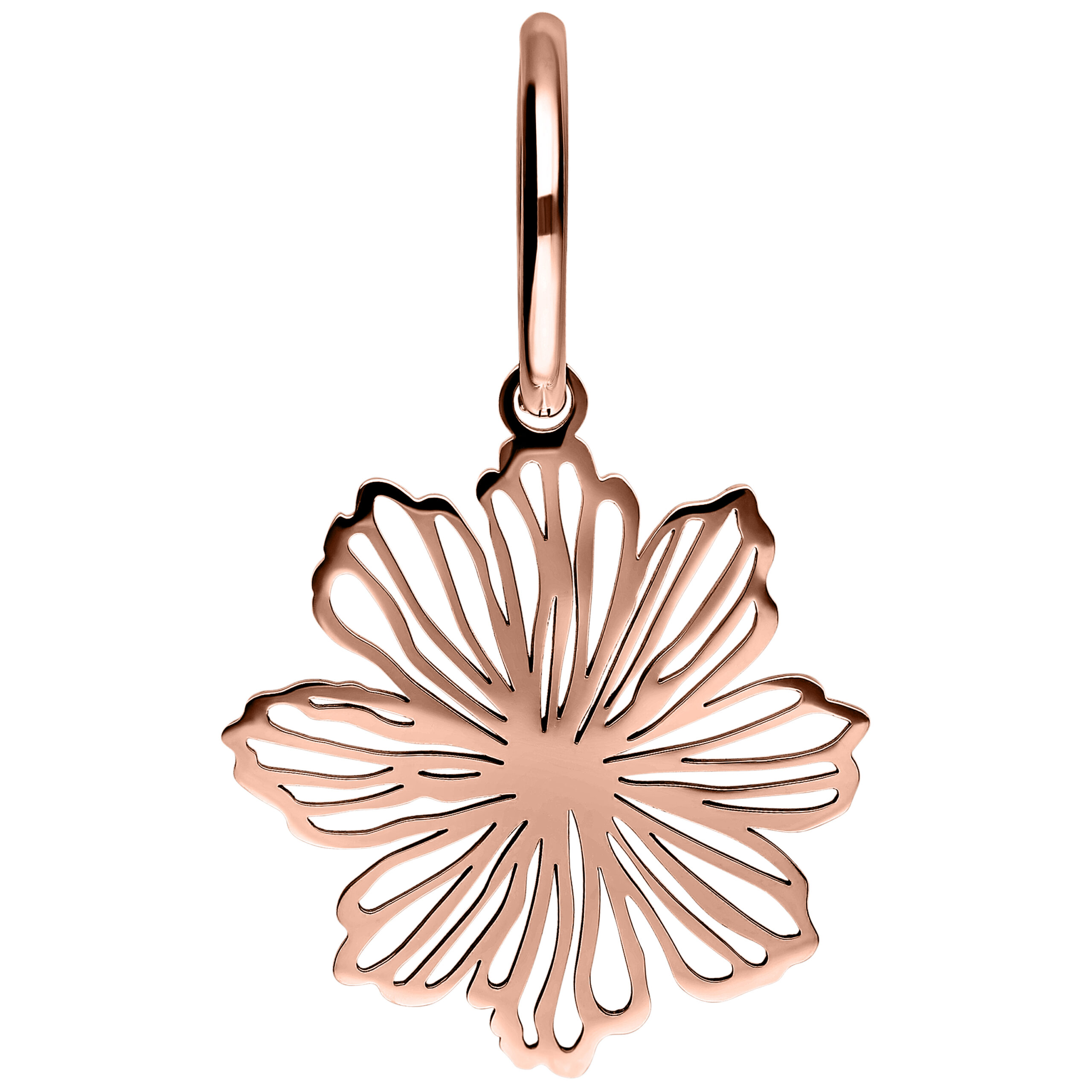 Feine Creolen mit blumenförmigem Anhänger in Roségold auf weißem Hintergrund