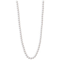 Kleine synthetische Perlenkette mit goldfarbenem Metall auf weißem Hintergrund