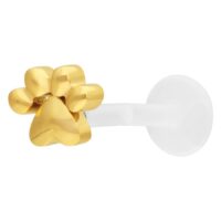 Kultainen ruuvattava labret-lävistys tassukuvioinnilla valkoisella taustalla