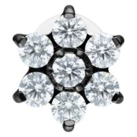 Musta labret kristallikukalla Musta labret kristallikukalla, kuusi kristallia, studiotausta