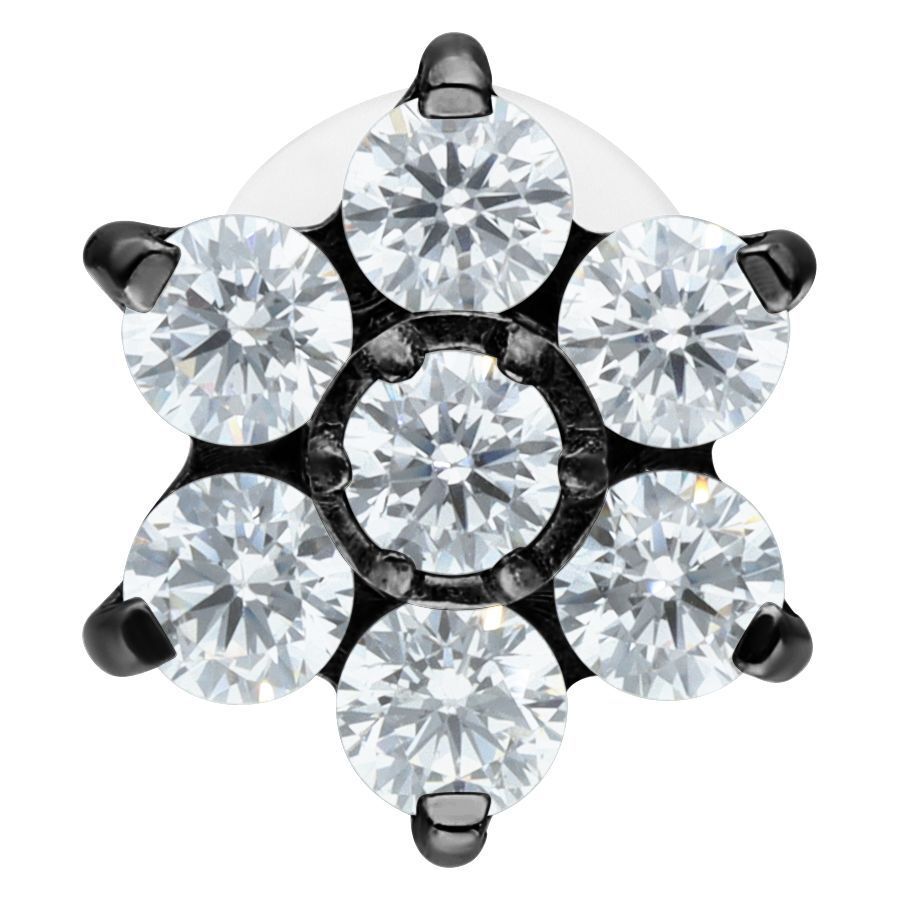 Musta labret kristallikukalla Musta labret kristallikukalla, kuusi kristallia, studiotausta