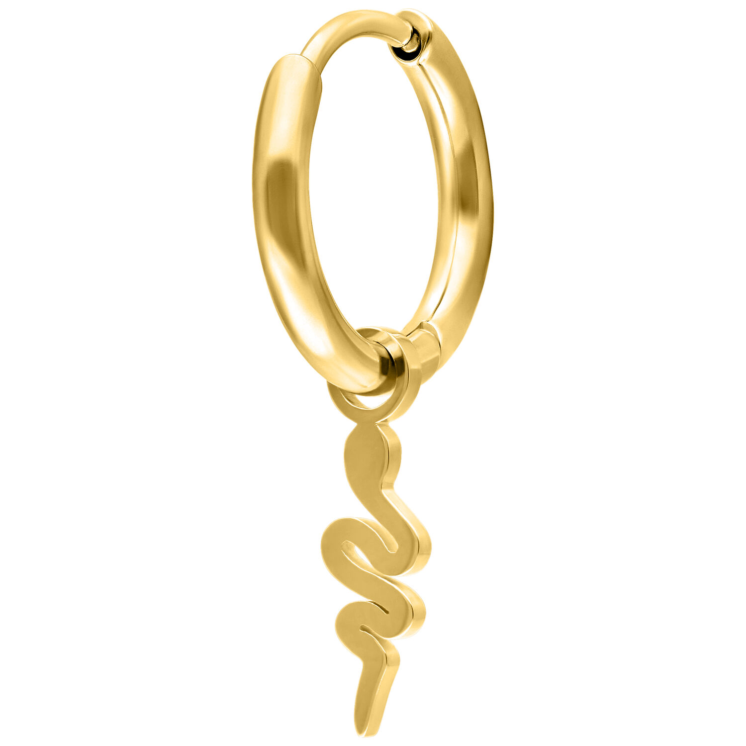 Goldene Ohrringe mit Schlangenanhänger auf weißem Hintergrund