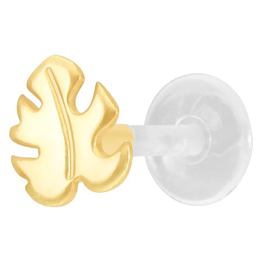 Kultainen Monstera Labret bioplast-tangolla valkoisella taustalla