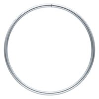 Hollowed Hoops Hollowed Hoops