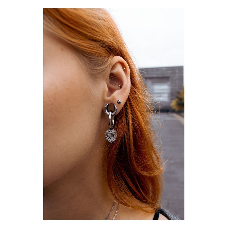 Ear Saddles Silver Ear Saddles Silver