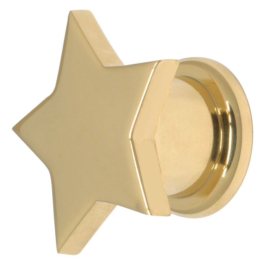 Steel Basicline® Screw Front Fleshtunnel Gold Star