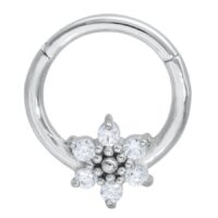 Ice Flower Ice Flower