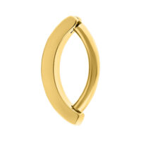 Kultainen napakoru Clicker titaanista kristalleilla valkoisella taustalla