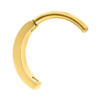 Kultainen napakoru titaanista kristallilla, studiotausta