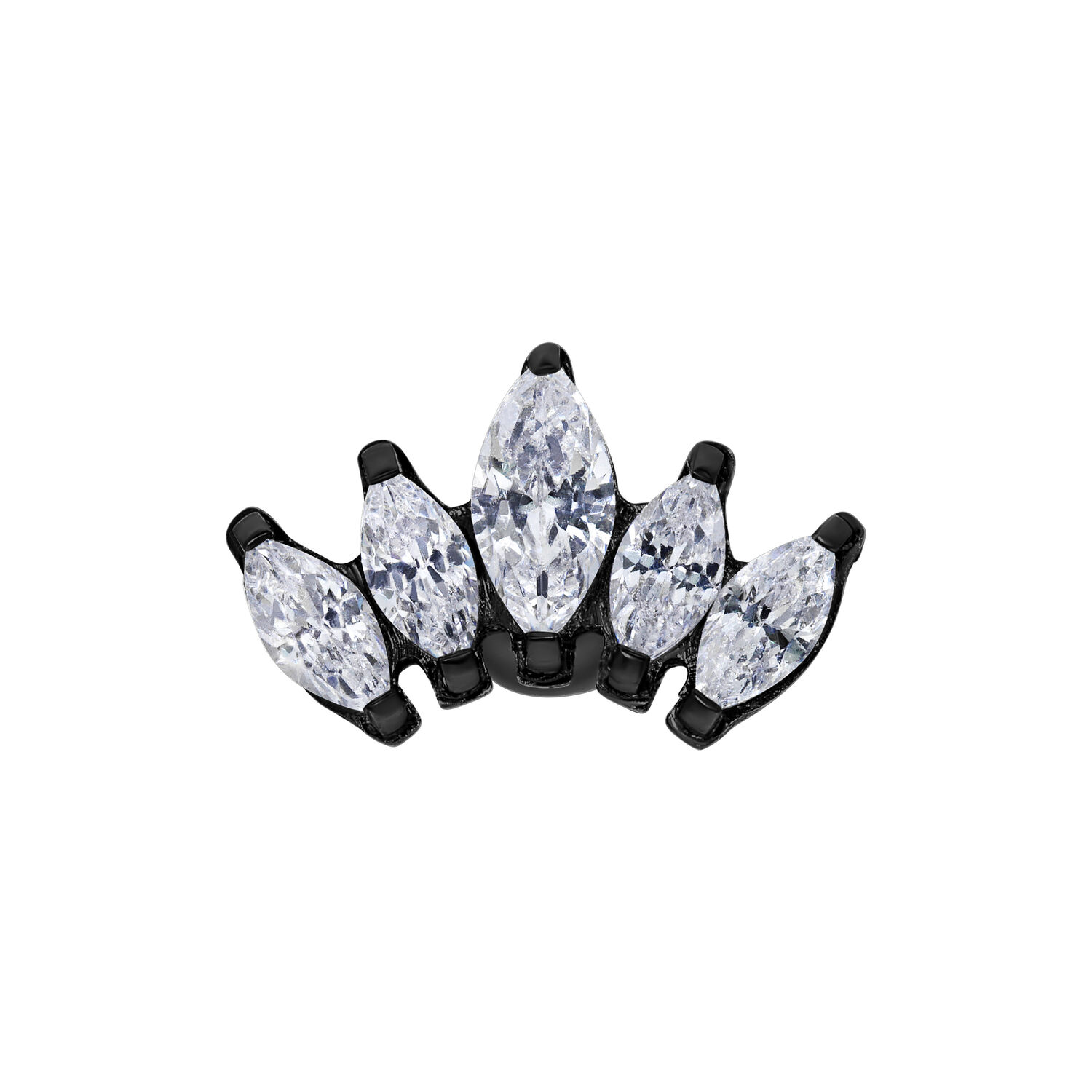 Musta korvabarbelli kristallinkirkkailla lootuksenkukilla valkoisella taustalla