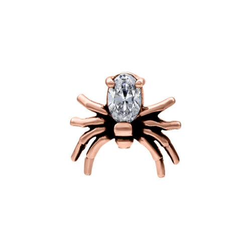 Internally Spider Attachment