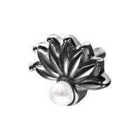 Hopeinen Peacock-lisäosa mustalla viimeistelyllä ja helmi etualalla