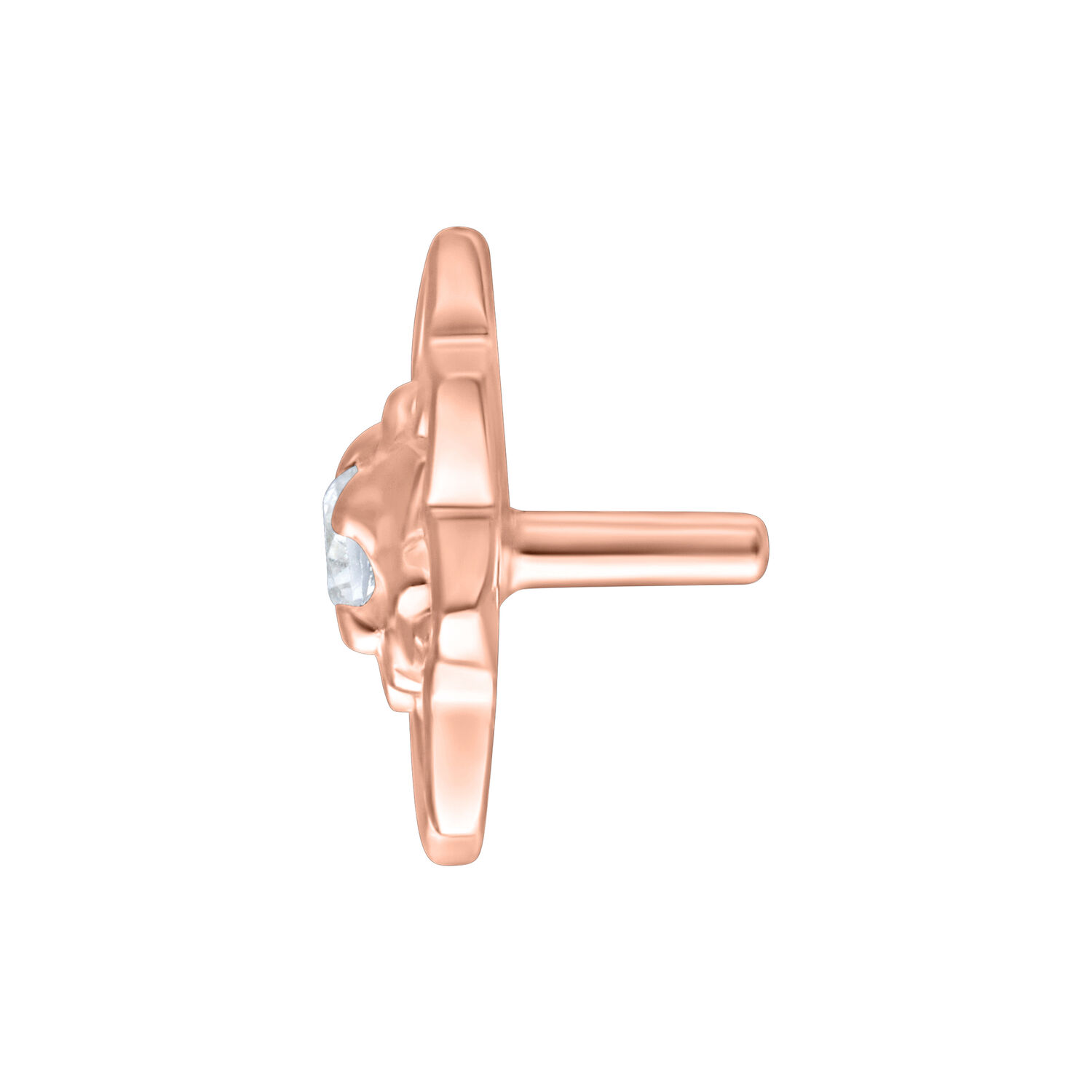 Ruusukultainen auringonkukkaosa Push Fit -kiinnityksellä valkoisella taustalla