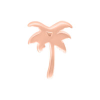 Ruusukultainen Palm-osa Push Fitille valkoisella taustalla