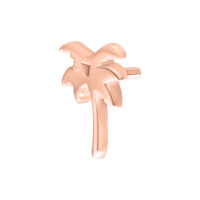 Ruusukultainen Palm -lisäosa Bioplastille valkoisella taustalla