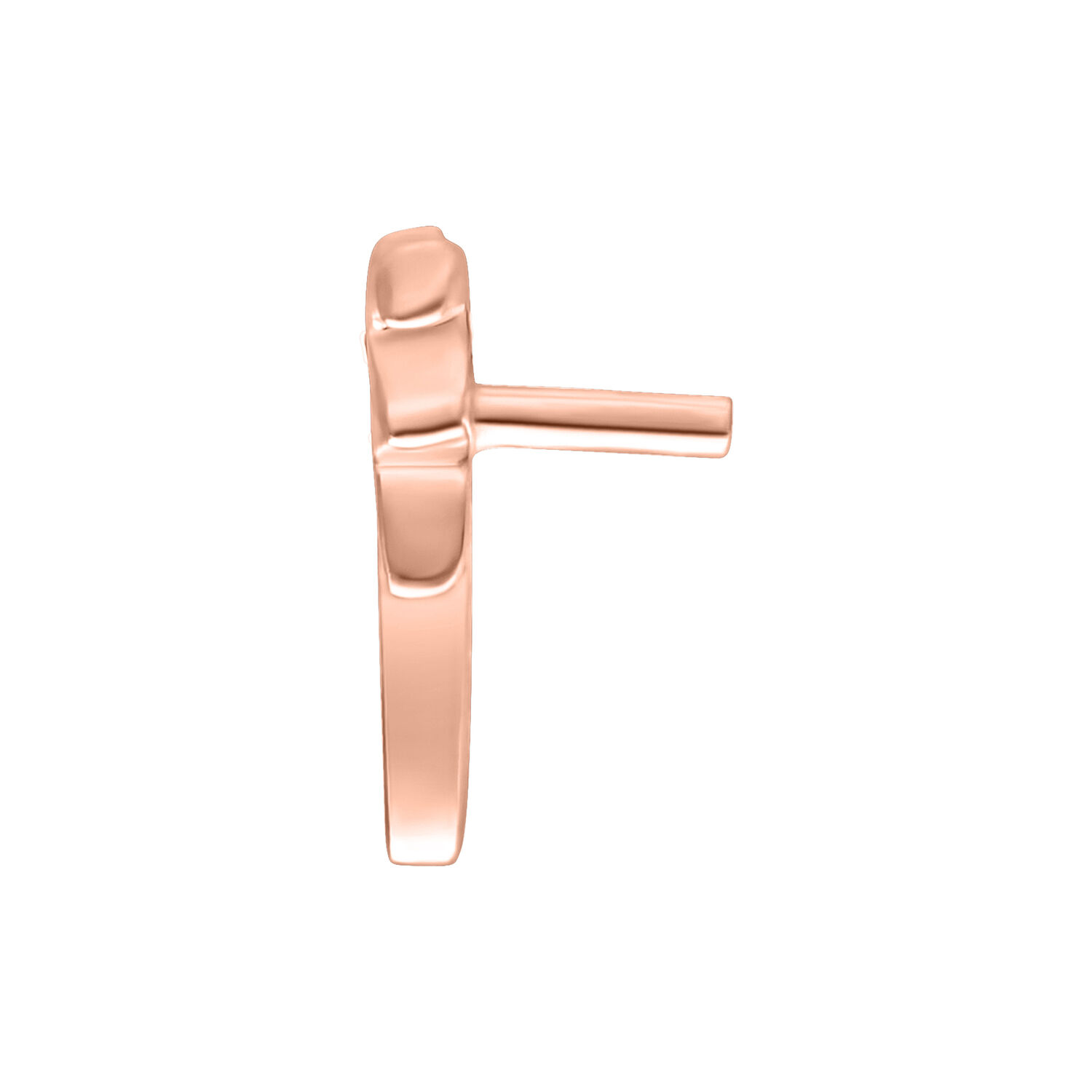 Ruusuinen Push Fit Palm -lisäosa Bioplastille valkoisella taustalla