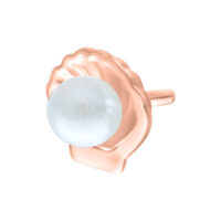 Ruusukultainen kuoriosa simpukan muodossa helmiäisellä valkoisella taustalla