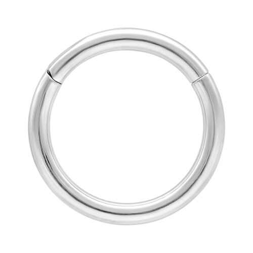 Hinged Ring - saranallinen lävistysrengas (titaani)