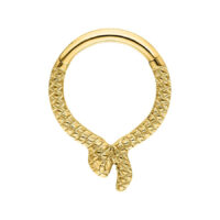 Kultainen Serpentes Clicker -lävistys Kultainen clicker-rengas käärmeen muodossa valkoisella taustalla