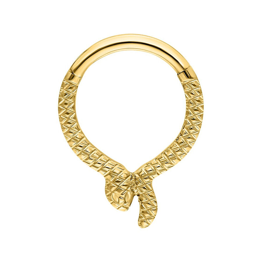 Kultainen Serpentes Clicker -lävistys Kultainen clicker-rengas käärmeen muodossa valkoisella taustalla