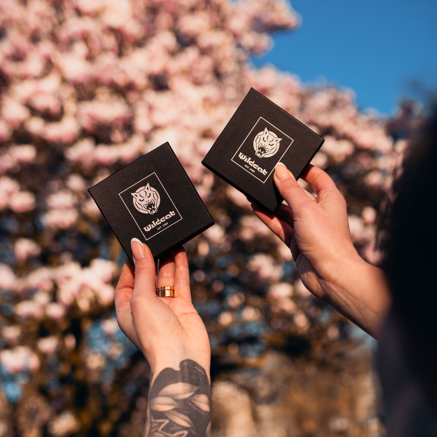 Kaksi mustaa laatikkoa Wildcat-logolla, käsissä pidettynä, kukkivan puun edessä