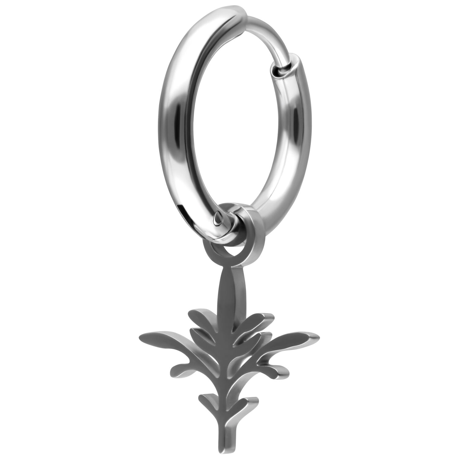 Hopeinen rengas oksariipuksella valkoisella taustalla