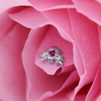 Hopeinen lävistyskoru punaisella rubiinilla, upotettu vaaleanpunaisiin terälehtiin