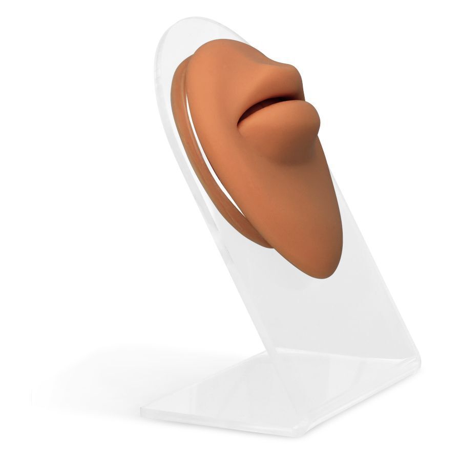 Body Bit Big Mouth ruskea silikonista Ruskea silikoninen huulimuotoinen lisäosa läpinäkyvällä jalustalla